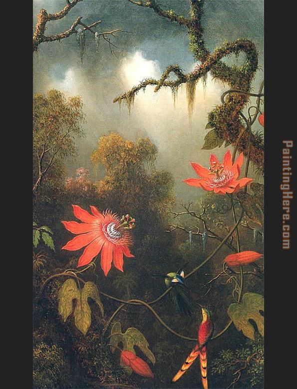 Martin Johnson Heade Two Hummingbirds Perched on Passion Flower Vines